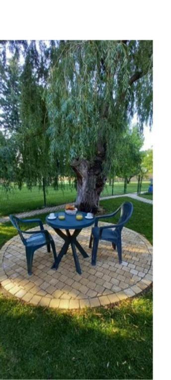 Logement Lumineux, Entierement Renove Avec Jardin Caumont-sur-Durance ภายนอก รูปภาพ